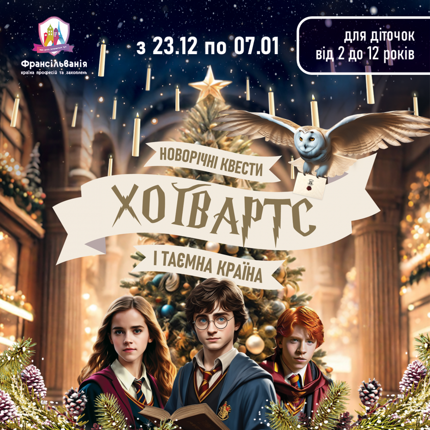 Новорічна програма «Хогвартс і таємна країна»